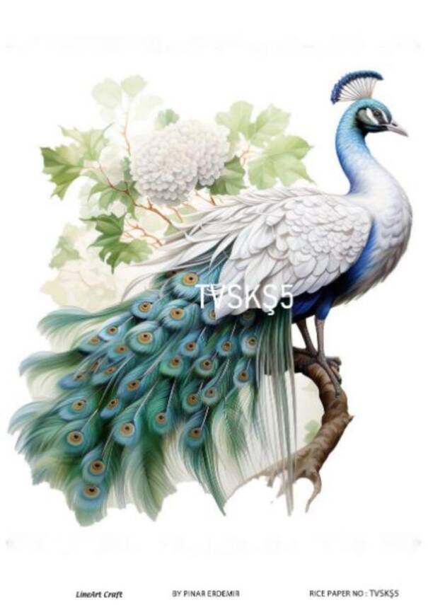 Tavus Kuşu Desenli Pirinç Dekopaj Model : TVSKŞ05 - 1