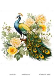 Tavus Kuşu Desenli Pirinç Dekopaj Model : TVSKŞ06 - Line Art