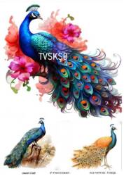 Tavus Kuşu Desenli Pirinç Dekopaj Model : TVSKŞ08 - Line Art