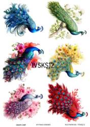 Tavus Kuşu Desenli Pirinç Dekopaj Model : TVSKŞ12 - Line Art