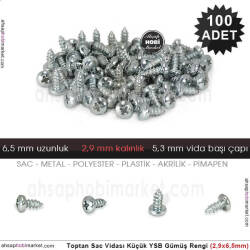 Toptan Sac Vidası Küçük 100 Adet YSB (2,9x6,5 mm) Mat Gümüş - Tual Hobi Sanat