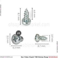 Toptan Sac Vidası Küçük 100 Adet YSB (2,9x6,5 mm) Mat Gümüş - Tual Hobi Sanat (1)