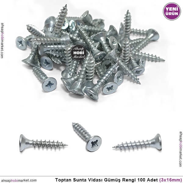 Toptan Sunta Vidası 100 Adet (2,5x16 mm) Mat Gümüş - 1