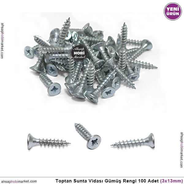 Toptan Sunta Vidası Küçük 100 Adet (3x13 mm) Mat Gümüş - 1