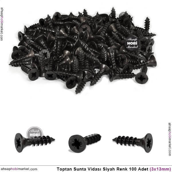 Toptan Sunta Vidası Küçük 100 Adet (3x13 mm) Siyah - 1