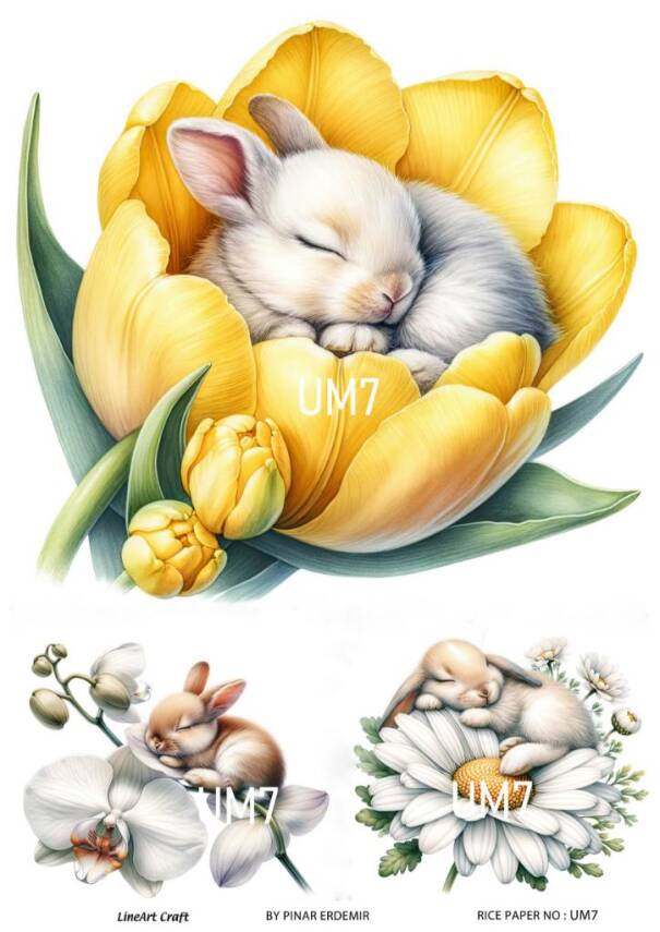 Uyuyan Minikler Desenli Pirinç Dekopaj Model : UM07 - 1