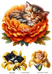 Uyuyan Minikler Desenli Pirinç Dekopaj Model : UM10 - Line Art