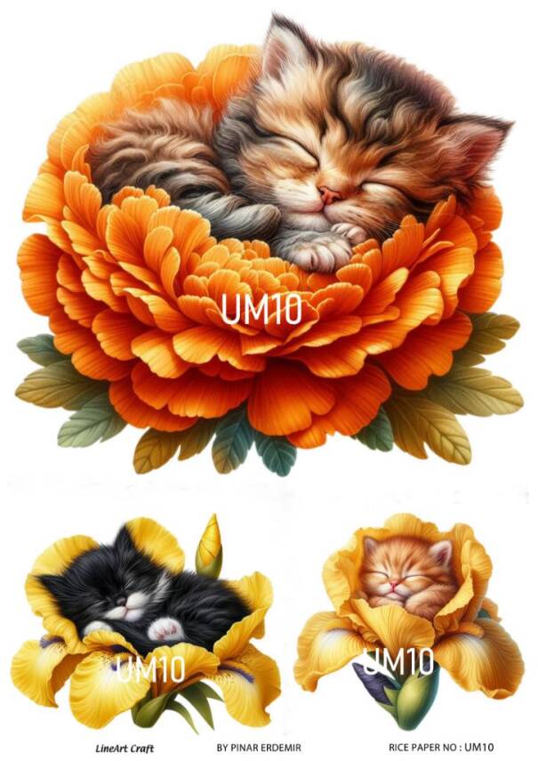 Uyuyan Minikler Desenli Pirinç Dekopaj Model : UM10 - 1