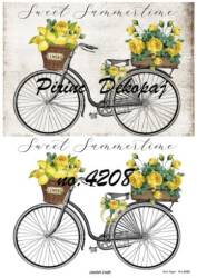 Vintage Bisiklet ve Limon Desenli Pirinç Dekopaj Model : 4208 - Line Art