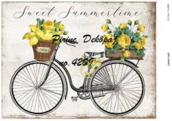 Vintage Bisiklet ve Limon Desenli Pirinç Dekopaj Model : 4209 - Line Art
