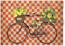 Vintage Bisiklet ve Limon Desenli Pirinç Dekopaj Model : 4210 - Line Art