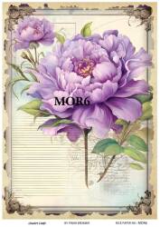 Vintage Mor Konseptli Pirinç Dekopaj Model : MOR06 - Line Art