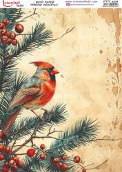 Yılbaşı Desenli Pirinç Dekopaj Model : PTY 339 - Tual Hobi Craft İst