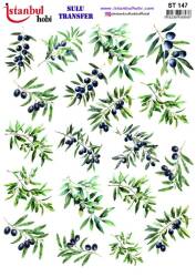 Zeytin Dalı Desenli Sulu Transfer Kağıdı STI-147 - Tual Hobi Craft İst