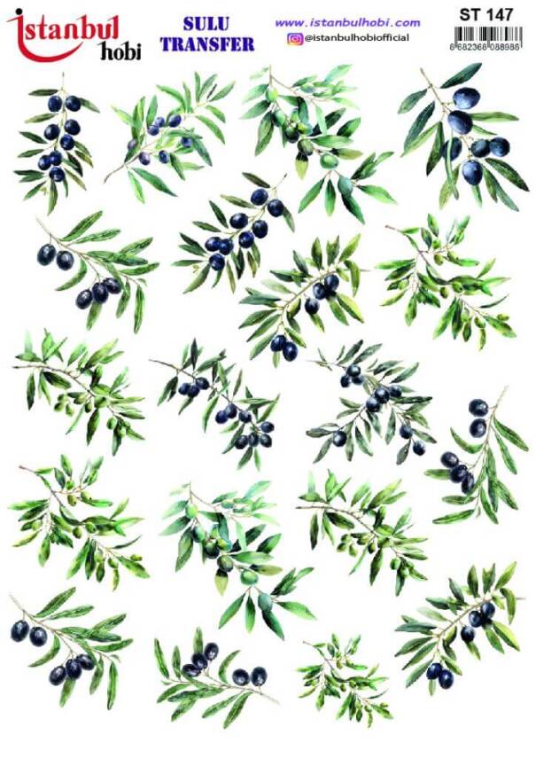 Zeytin Dalı Desenli Sulu Transfer Kağıdı STI-147 - 1